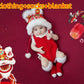 24dca11da5902b082da49f5ee0502cd5