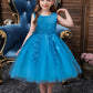 Girls Mesh Hem Princess Dress, Embroidery Design Sleeveless Flower Girl Dress For Pageant Gown Christmas Birthday #802