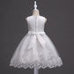 Infant Baby Flower Dress Toddler Girls Sleeveless Pearl Princess Pageant Birthday Lace Wedding Dress Children Formal Gown 6-24M