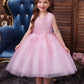 Girls Mesh Hem Princess Dress, Embroidery Design Sleeveless Flower Girl Dress For Pageant Gown Christmas Birthday #802