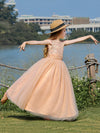 Champagne Girl Dress Party Sleeveless Dance Ball Gown Wholesale Embroidery Wedding Birthday Girls Luxury Princess Backless